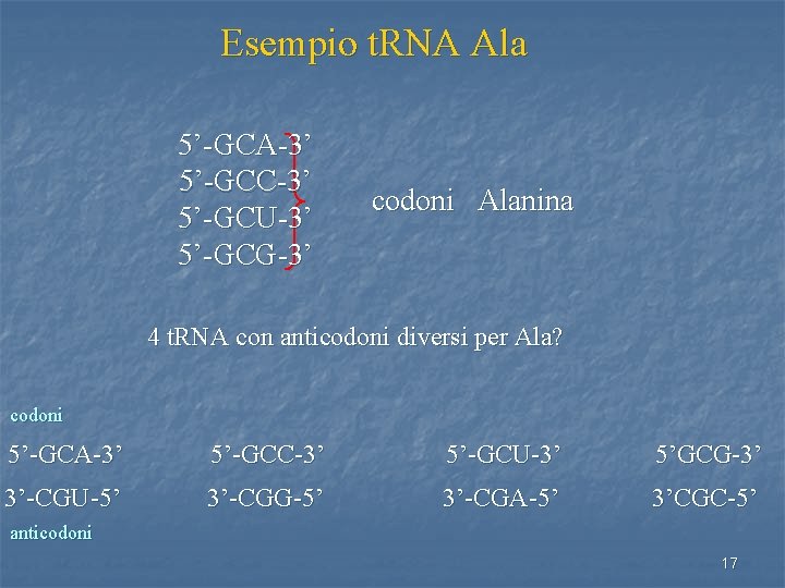 Esempio t. RNA Ala 5’-GCA-3’ 5’-GCC-3’ 5’-GCU-3’ 5’-GCG-3’ codoni Alanina 4 t. RNA con