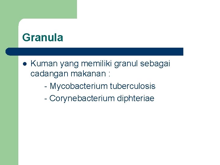 Granula l Kuman yang memiliki granul sebagai cadangan makanan : - Mycobacterium tuberculosis -