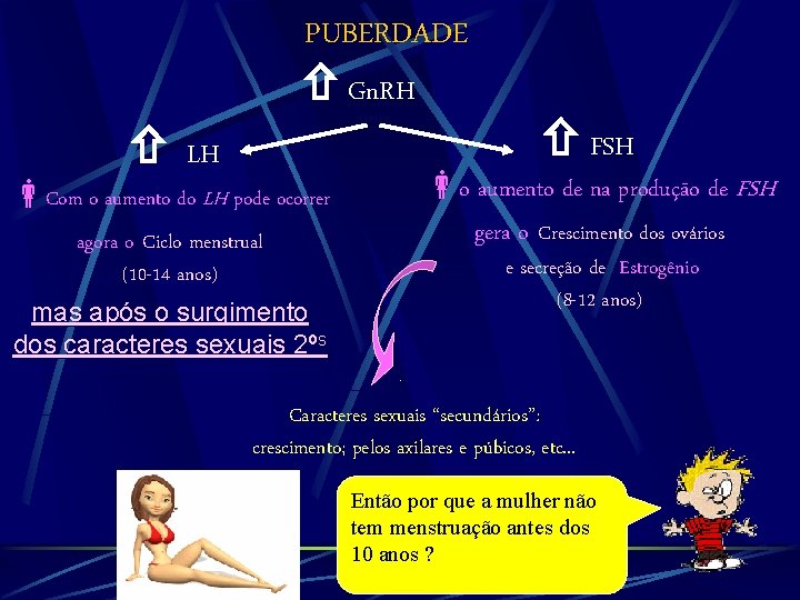 PUBERDADE Gn. RH LH Com o aumento do LH pode ocorrer agora o Ciclo PUBERDADE Gn. RH LH Com o aumento do LH pode ocorrer agora o Ciclo