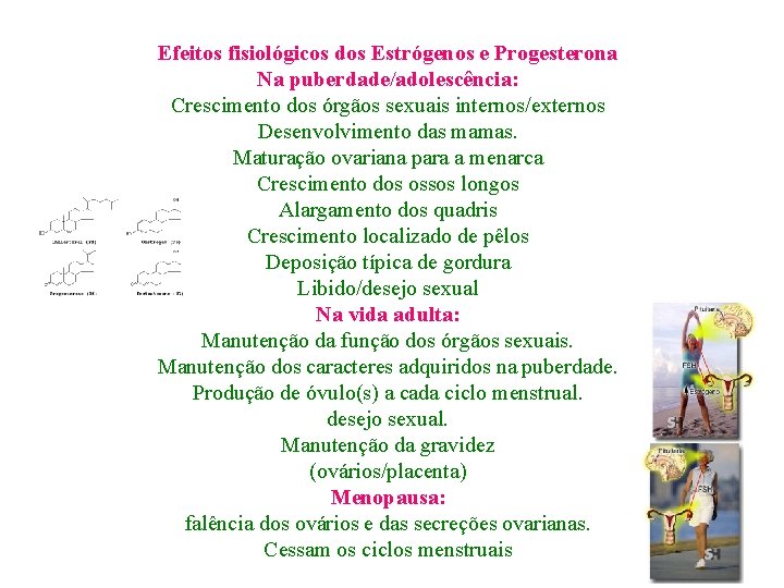 Efeitos fisiológicos dos Estrógenos e Progesterona Na puberdade/adolescência: Crescimento dos órgãos sexuais internos/externos Desenvolvimento Efeitos fisiológicos dos Estrógenos e Progesterona Na puberdade/adolescência: Crescimento dos órgãos sexuais internos/externos Desenvolvimento