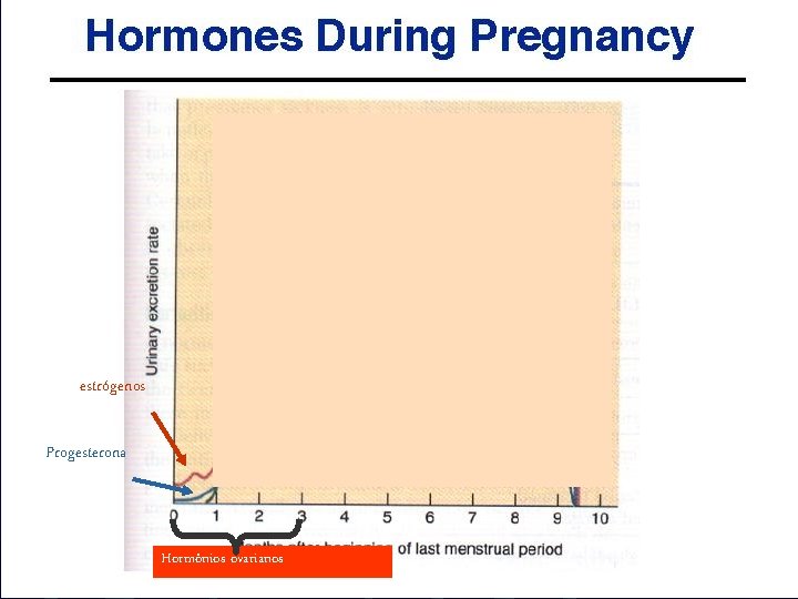 estrógenos Progesterona Hormônios ovarianos estrógenos Progesterona Hormônios ovarianos