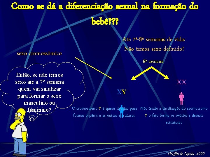 Como se dá a diferenciação sexual na formação do bebê? ? ? sexo cromossômico Como se dá a diferenciação sexual na formação do bebê? ? ? sexo cromossômico