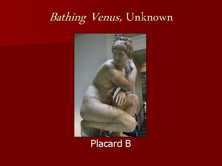 Bathing Venus, Unknown Placard B 