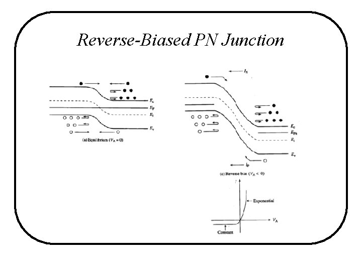 Reverse-Biased PN Junction Reverse-Biased PN Junction