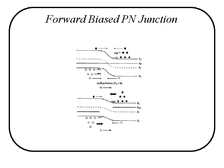 Forward Biased PN Junction Forward Biased PN Junction