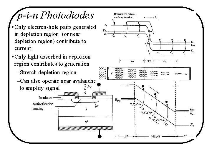 p-i-n Photodiodes • Only electron-hole pairs generated in depletion region (or near depletion region) p-i-n Photodiodes • Only electron-hole pairs generated in depletion region (or near depletion region)
