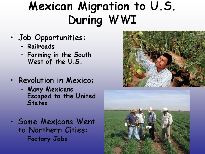 Mexican Migration to U. S. During WWI • Job Opportunities: – Railroads – Farming
