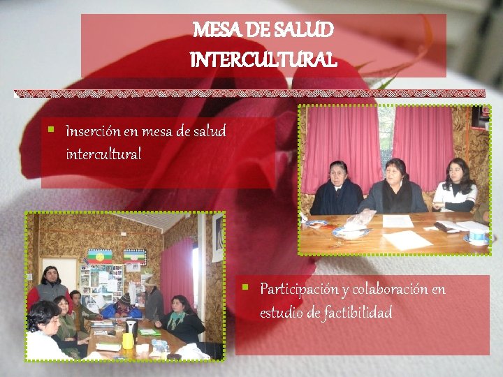 MESA DE SALUD INTERCULTURAL § Inserción en mesa de salud intercultural § Participación y MESA DE SALUD INTERCULTURAL § Inserción en mesa de salud intercultural § Participación y