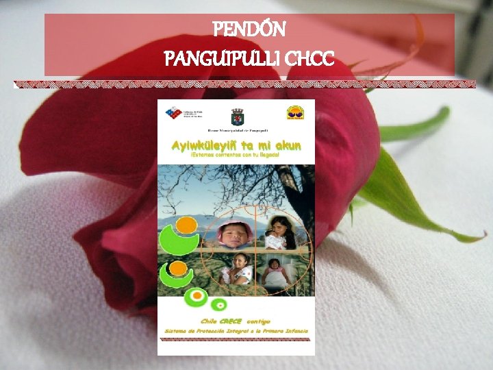 PENDÓN PANGUIPULLI CHCC 