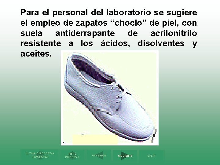 Para el personal del laboratorio se sugiere el empleo de zapatos “choclo” de piel,