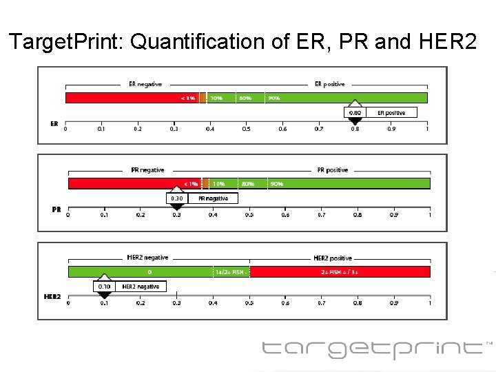 Target. Print: Quantification of ER, PR and HER 2 