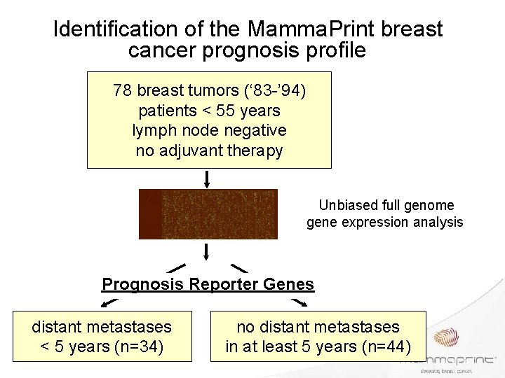 Identification of the Mamma. Print breast cancer prognosis profile 78 breast tumors (‘ 83