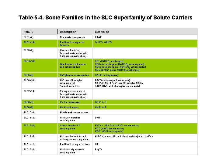 Table 5 -4. Some Families in the SLC Superfamily of Solute Carriers Family Description
