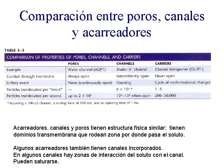Comparación entre poros, canales y acarreadores Acarreadores, canales y poros tienen estructura física similar: