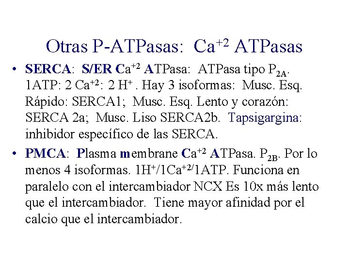 Otras P-ATPasas: Ca+2 ATPasas • SERCA: S/ER Ca+2 ATPasa: ATPasa tipo P 2 A.