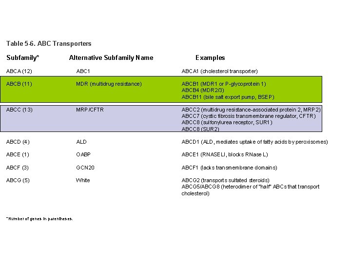 Table 5 -6. ABC Transporters Subfamily* Alternative Subfamily Name Examples ABCA (12) ABC 1