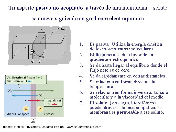 Transporte pasivo no acoplado a través de una membrana: soluto se mueve siguiendo su