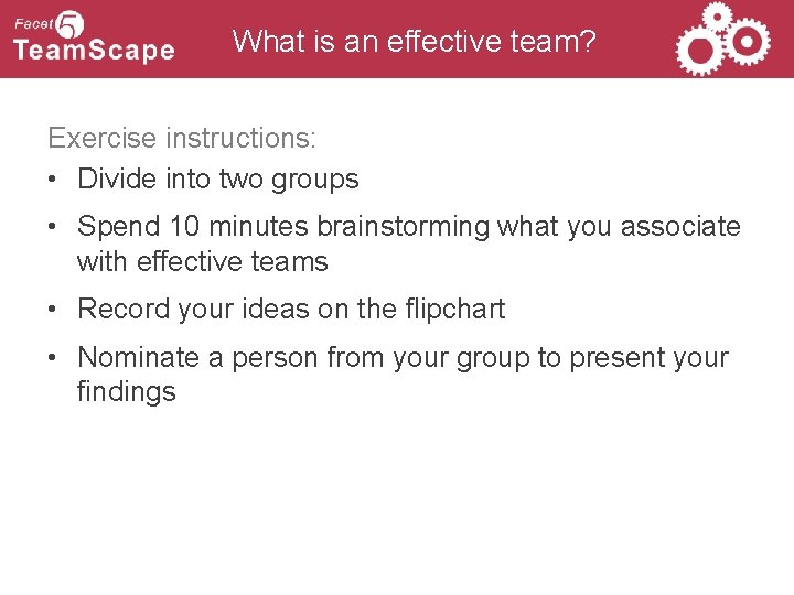 What is an effective team? Exercise instructions: • Divide into two groups • Spend