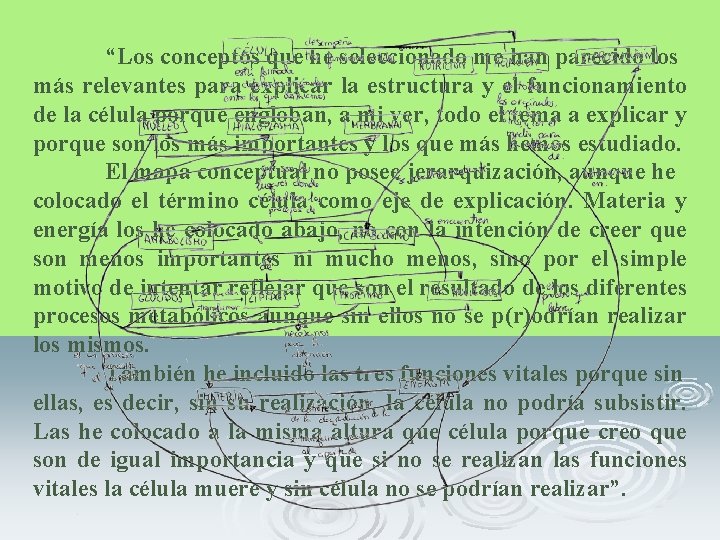 “Los conceptos que he seleccionado me han parecido los más relevantes para explicar la