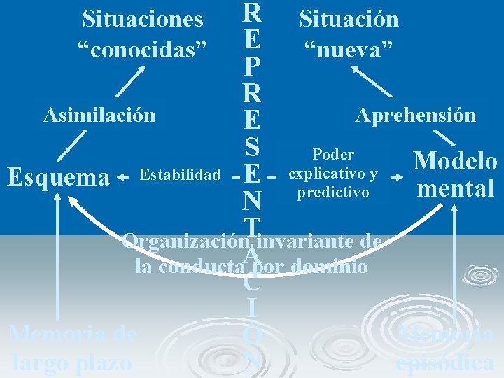 R Situación E “nueva” P R Asimilación Aprehensión E S Poder Modelo explicativo y