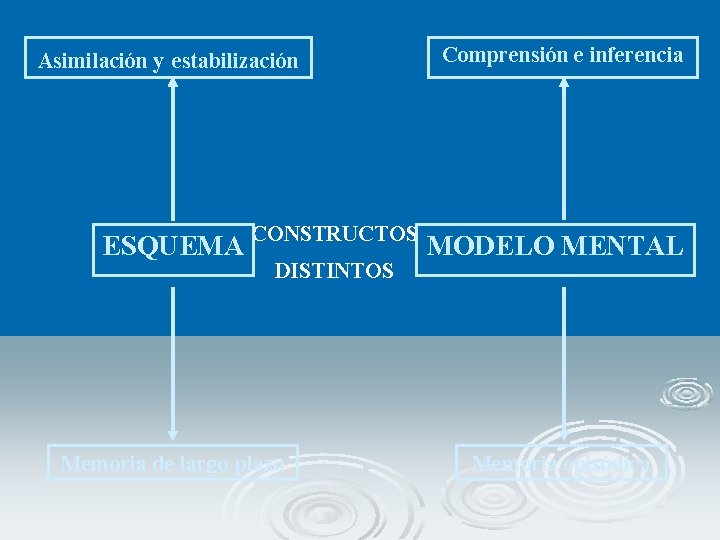 Asimilación y estabilización ESQUEMA CONSTRUCTOS DISTINTOS Memoria de largo plazo Comprensión e inferencia MODELO