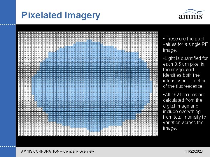 Pixelated Imagery • These are the pixel values for a single PE image. •