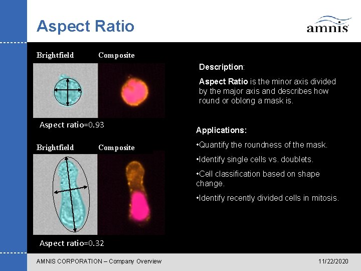 Aspect Ratio Brightfield Composite Description: Aspect Ratio is the minor axis divided by the