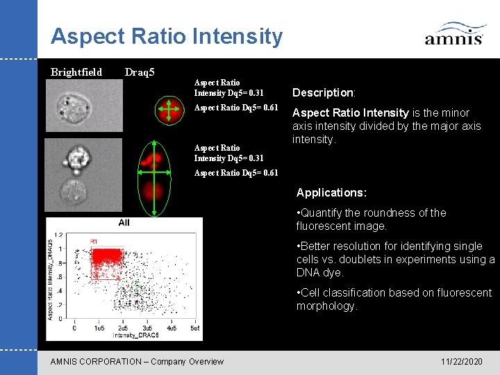 Aspect Ratio Intensity Brightfield Draq 5 Aspect Ratio Intensity Dq 5= 0. 31 Aspect