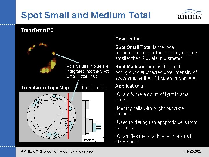 Spot Small and Medium Total Transferrin PE Description: Spot Small Total is the local