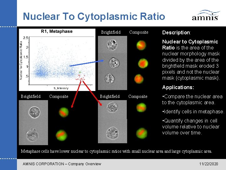 Nuclear To Cytoplasmic Ratio Brightfield Composite Description: Nuclear to Cytoplasmic Ratio is the area