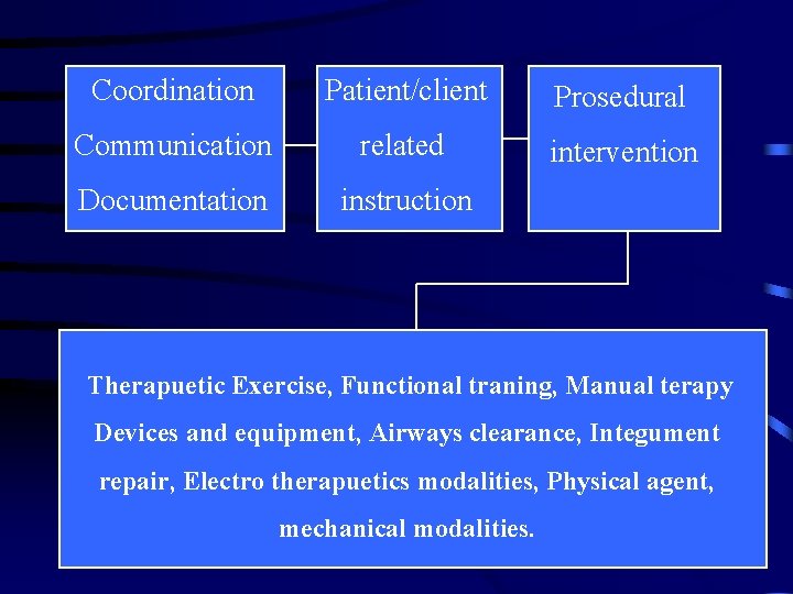 Coordination Patient/client Prosedural Communication related intervention Documentation instruction Therapuetic Exercise, Functional traning, Manual terapy