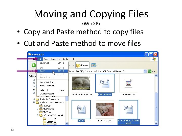 Moving and Copying Files (Win XP) • Copy and Paste method to copy files