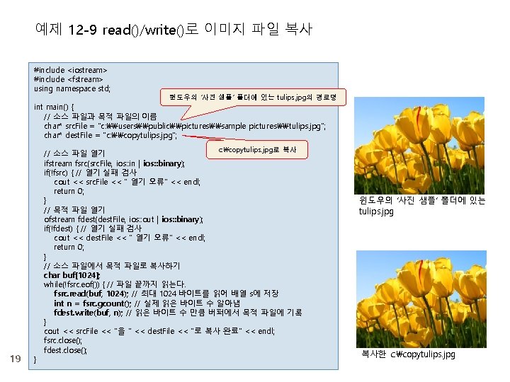 예제 12 -9 read()/write()로 이미지 파일 복사 #include <iostream> #include <fstream> using namespace std;