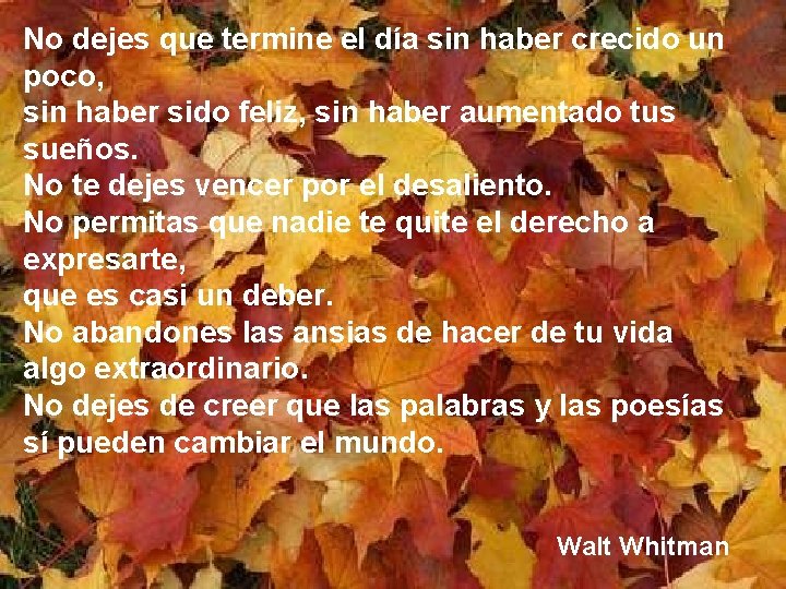 No dejes que termine el día sin haber crecido un poco, sin haber sido