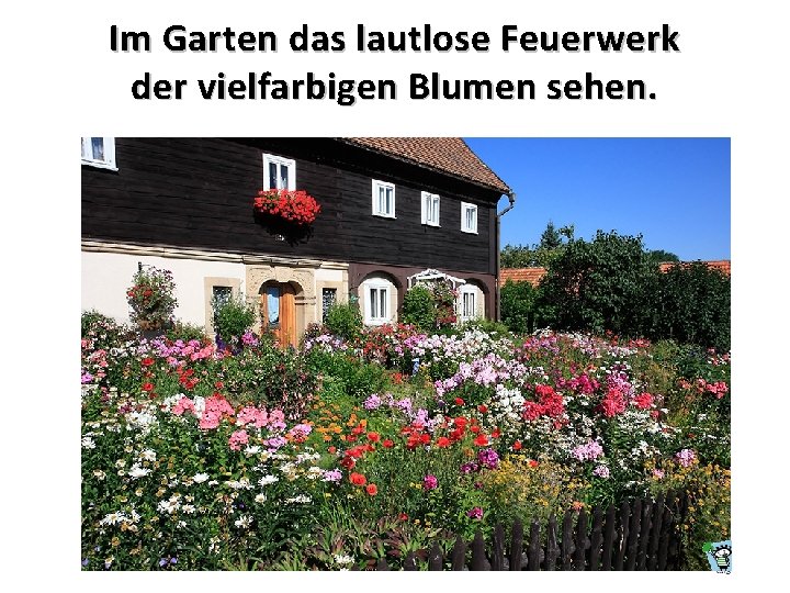 Im Garten das lautlose Feuerwerk der vielfarbigen Blumen sehen. 