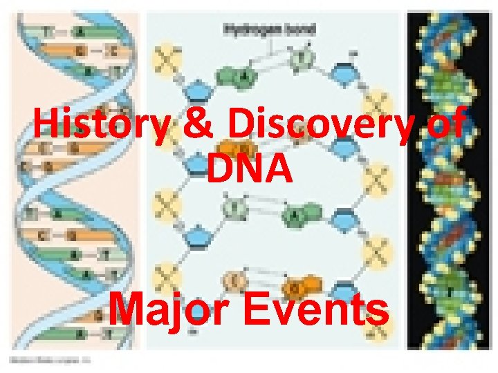 History & Discovery of DNA Major Events 