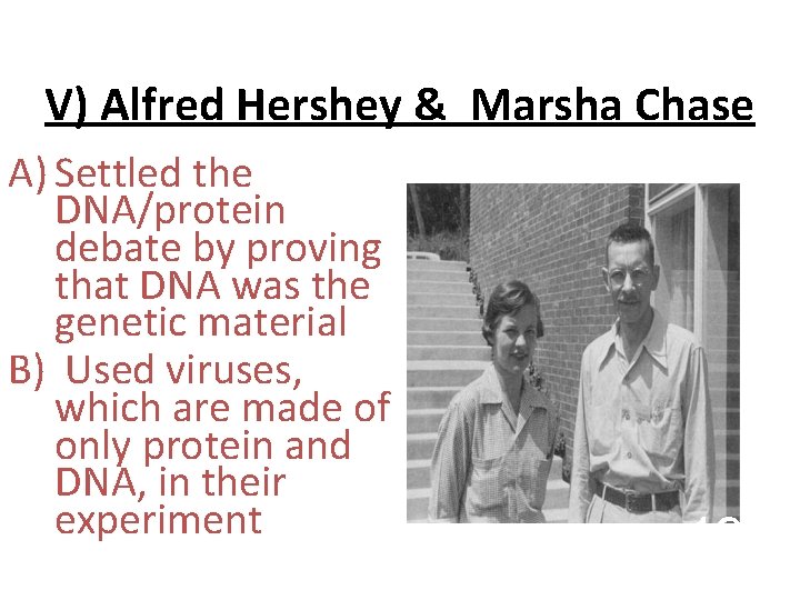 V) Alfred Hershey & Marsha Chase A) Settled the DNA/protein debate by proving that