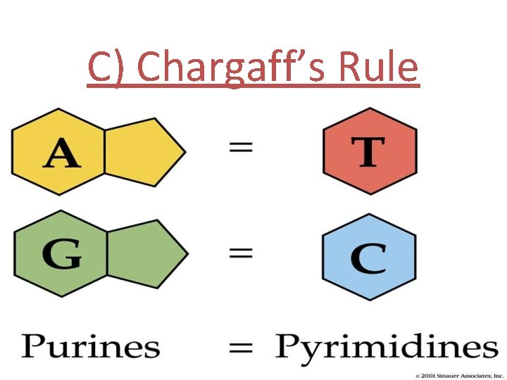 C) Chargaff’s Rule 