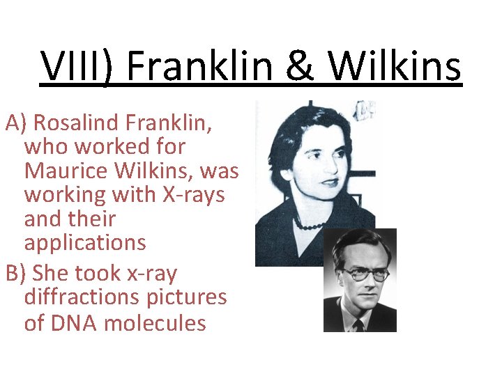 VIII) Franklin & Wilkins A) Rosalind Franklin, who worked for Maurice Wilkins, was working