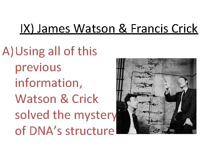IX) James Watson & Francis Crick A) Using all of this previous information, Watson