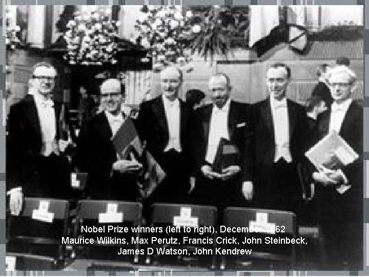 Nobel Prize winners (left to right), December 1962 Maurice Wilkins, Max Perutz, Francis Crick,
