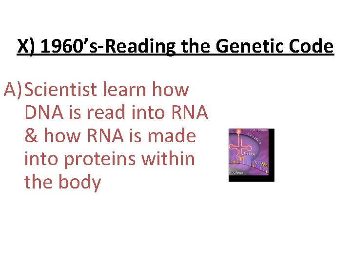 X) 1960’s-Reading the Genetic Code A) Scientist learn how DNA is read into RNA