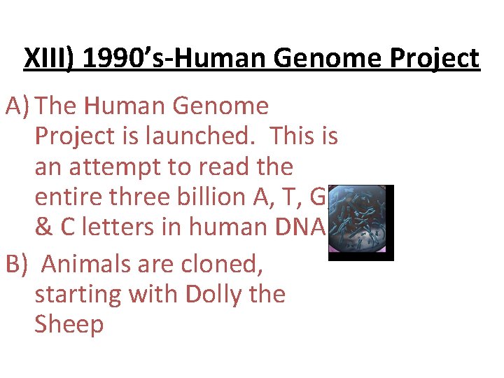 XIII) 1990’s-Human Genome Project A) The Human Genome Project is launched. This is an