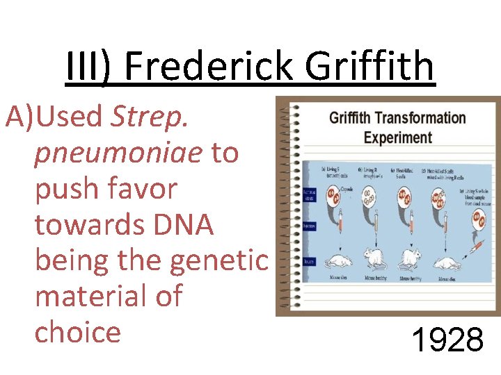 III) Frederick Griffith A)Used Strep. pneumoniae to push favor towards DNA being the genetic