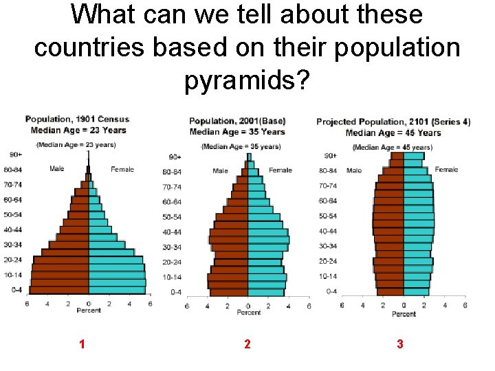 What can we tell about these countries based on their population pyramids? 1 2