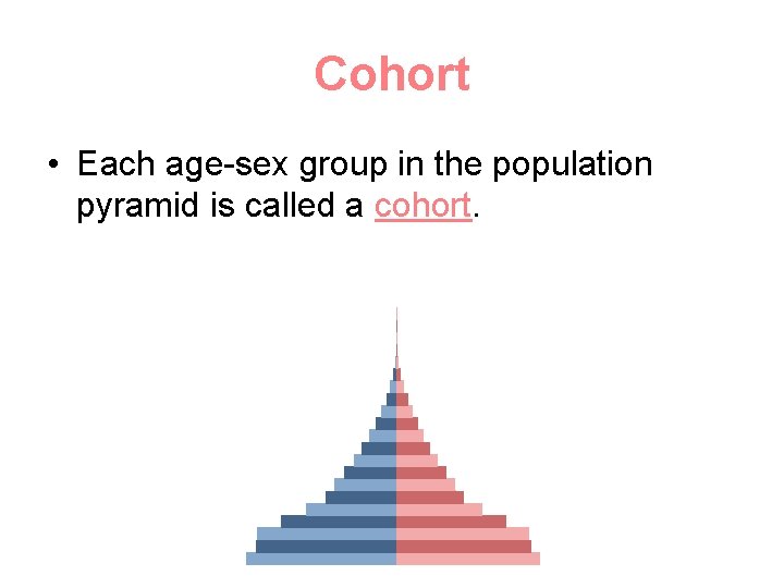 Cohort • Each age-sex group in the population pyramid is called a cohort. 