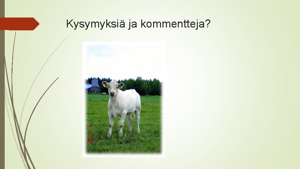 Kysymyksiä ja kommentteja? 