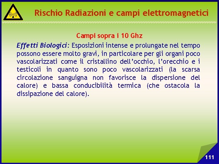 Rischio Radiazioni e campi elettromagnetici Campi sopra i 10 Ghz Effetti Biologici: Esposizioni intense