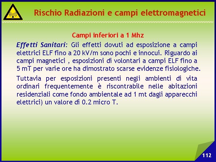 Rischio Radiazioni e campi elettromagnetici Campi inferiori a 1 Mhz Effetti Sanitari: Gli effetti