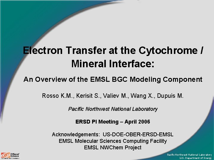 Electron Transfer at the Cytochrome / Mineral Interface: An Overview of the EMSL BGC